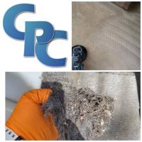 Carpet Pro Cleaners Nashville image 6